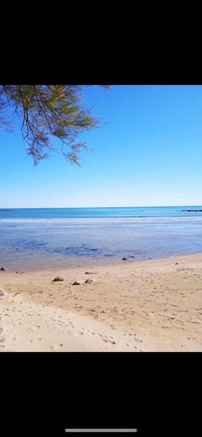 Apartamento Le Coeur Des Sables