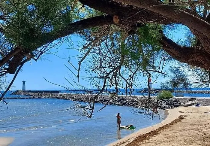 Le Coeur Des Sables